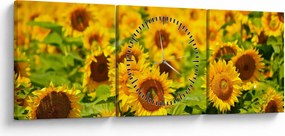 Tablou - Floarea-soarelui (cu ceas) (90x30 cm)