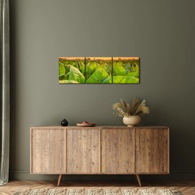 Tablou - Câmp (cu ceas) (90x30 cm)