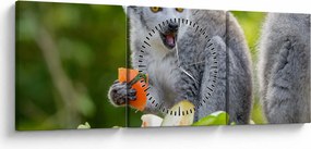 Tablou cu lemur (cu ceas) (90x30 cm)