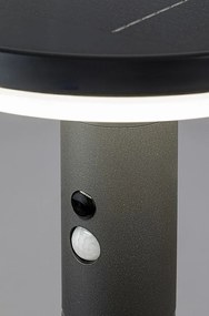 Stalp LED solar cu senzor iluminat exterior IP44 Alaska