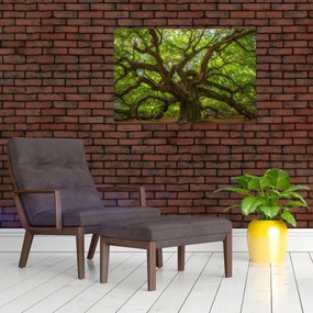 Tablou - Copac verde (90x60 cm)