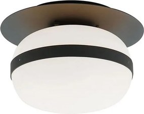 Plafonieră PALMA 1xE27/40W/230V neagră