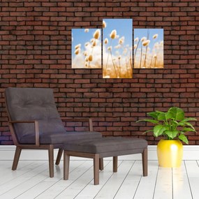 Tablou - Câmp de aur (90x60 cm)