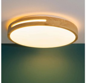 Plafonieră LED dimabilă Brilliant WOODBURY LED/24W/230V d. 39 cm