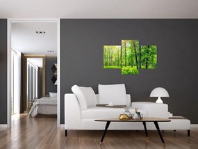 Tablou - Pădurea cu frunze de primăvară (90x60 cm)
