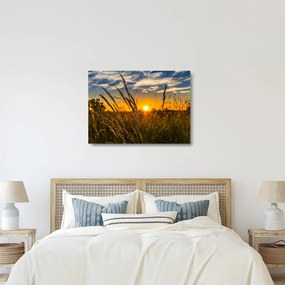 Tablou pe sticlă cu câmp în apus de soare (70x50 cm)