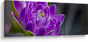 Tablou floarei (cu ceas) (90x30 cm)