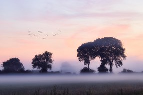 Fototapet. Suffolk Coast, UK, Apus de soare. Art.01492