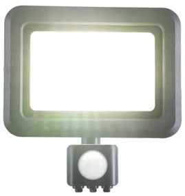 Proiector LED cu senzor LED/30W/230V 4000K IP44