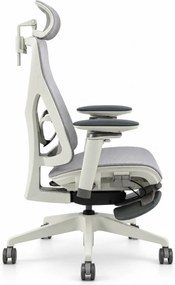 Scaun ergonomic ANEW ARYSE D3, Suport Lombar Trio Dinamic , Cotiere 5D Dual-Axis, Tetieră Reglabilă, Mecanism Sensibil la Greutate cu Seat-Slider, Suport Picioare, Mesh, Gri