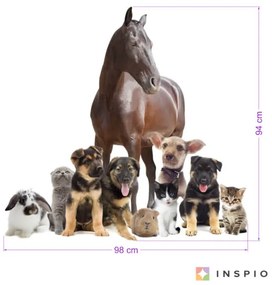 INSPIO Autocolant pentru perete - Iubesc animalele