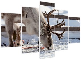 Tablou - Sâmbătă (150x105 cm)