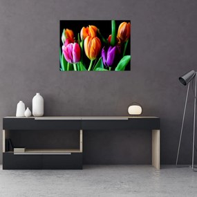 Tablou pe sticlă -Lalele pe fond negru (70x50 cm)