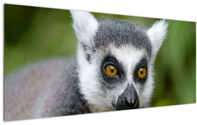 Tablou cu lemur (120x50 cm), în 40 de alte dimensiuni noi