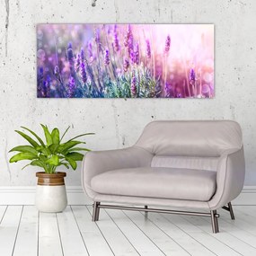 Tablou - Lavandă în strălucirea soarelui (120x50 cm)