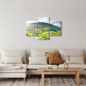 Tablou plantație (90x60 cm)