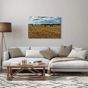 Tablou cu câmp recoltat (90x60 cm)