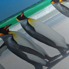 Tablou - Grup de pinguini regali (90x60 cm)