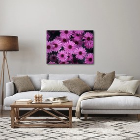 Tablou cu florile roz (70x50 cm)