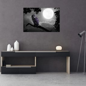 Tablou - Bufniță de noapte, bufniță mov (90x60 cm)