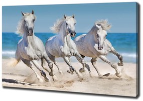 Imprimare tablou canvas White beach horse