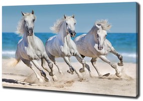 Imprimare tablou canvas White beach horse