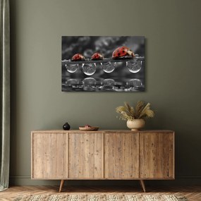 Tablou - Floarea-soarelui, alb și negru (90x60 cm)