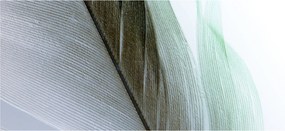 Tablou - Pene, macro (120x50 cm)