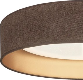 Brilagi-LED Stm. sv. VEL. SM. ST. 36W/230V 3000-6000K Ø55 cm maro/auriu WT+DO