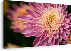 Tablou detailat cu flori (90x60 cm)