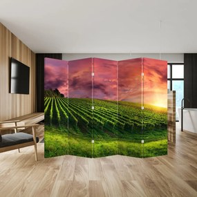 Paravan - Vie cu cerul color (210x170 cm)