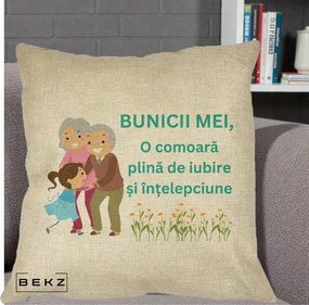 Cadou pentru Bunici - Perna Personalizata Bunicii Mei Comoara Iubire Intelepciune Nepoata, 40x40 cm, Crem, Husa Detasabila, Perna Inclusa, BEKZ®