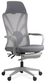 Scaun ergonomic SYYT 9512 gri, spătar rabatabil și suport picioare