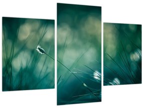 Tablou - Detaliu iarbă (90x60 cm)
