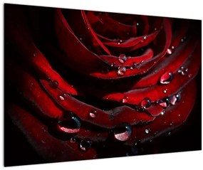 Tablou - Trandafir (90x60 cm)