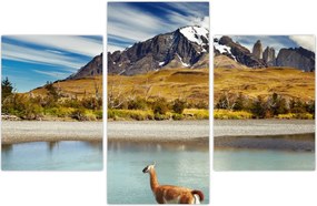 Tablou - Parcul Național Torres del Paine (90x60 cm)