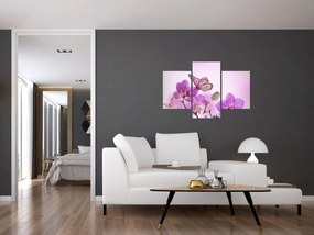 Tablou - Fluture pe flori de orhidee, liliac (90x60 cm)