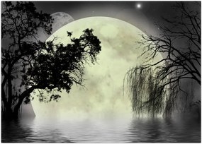Tablou - Lună plină deasupra apei (70x50 cm)