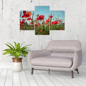 Tablou - Pe câmpul cu maci (90x60 cm)