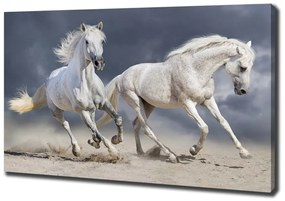 Pictură pe pânză White beach horse
