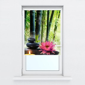 Fotojaluzele R012051R42150 (42x150 cm)