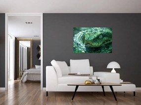 Tablou - Portret de șarpe (90x60 cm)