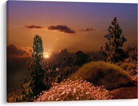 Tablou naturii cu apus de soare (70x50 cm)