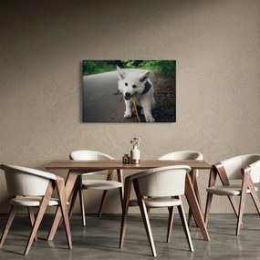 Tablou cu câinele alb (90x60 cm)