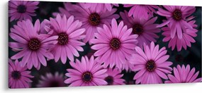 Tablou cu florile roz (120x50 cm)