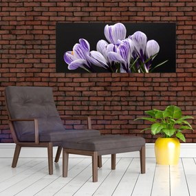 Tablou - Crocus violet (120x50 cm)