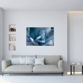 Tablou - Agave (90x60 cm)