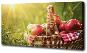 Tablouri tipărite pe pânză Mere într-un coș