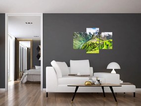 Tablou - Machu Picchu (90x60 cm)