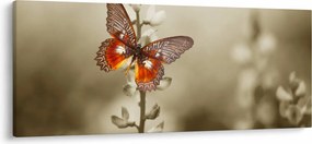 Tablou cu fluture (120x50 cm)